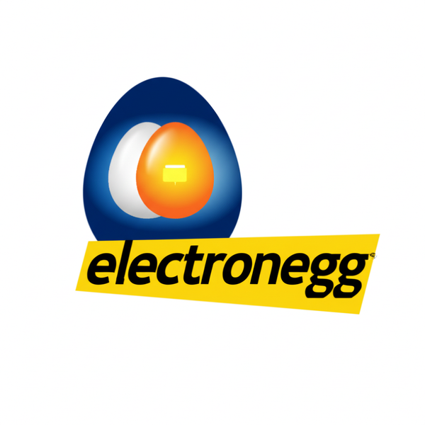 ElectronEgg